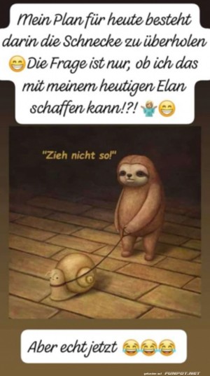 Zieh-nicht-so.jpg auf www.funpot.net