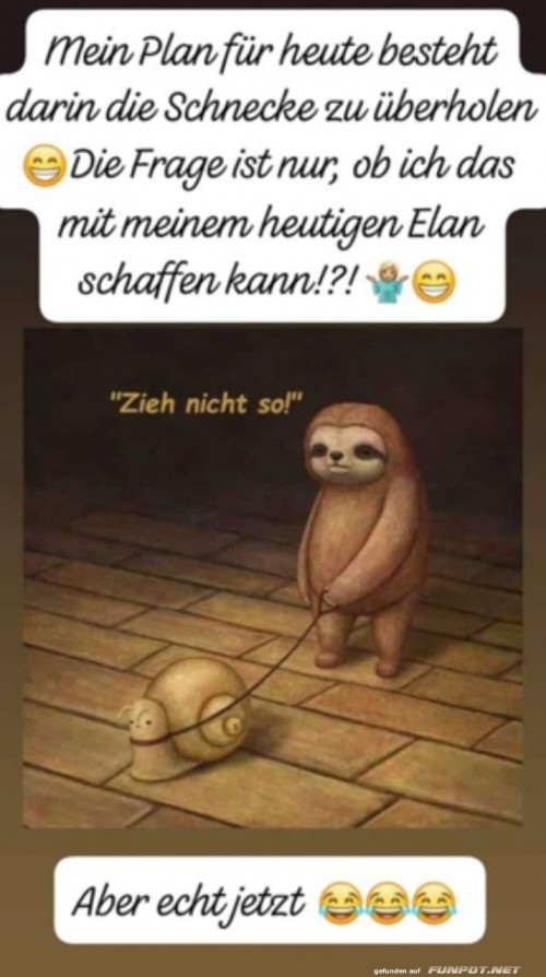 Zieh-nicht-so.jpg auf www.funpot.net