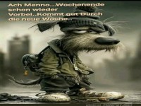 Motivierter Start in die neue Woche