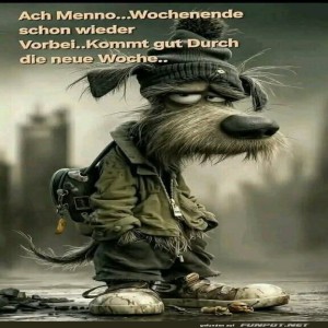 Begrüßungsbild