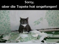 Wenn die Katze den Innenarchitekten spielt