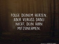 Herz folgen, Hirn nicht vergessen!