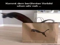 Katzenbeutel im Puma-Stil