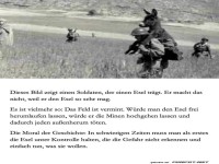 Esel auf Mission: Eine ungew�hnliche Tragehilfe