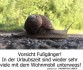 FunpotNews