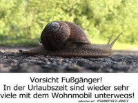 Langsame Ferienfahrt der Schnecke