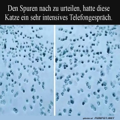 Katzenspurensuche:-Das-Telekatzengespr&auml;ch.jpg von Sahneschnitte