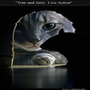 Katz-und-Maus:-Live-Action-Spannung.jpg von Elijas1995