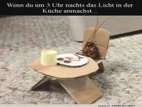 Mitternachts-Gast im Mini-Restaurant