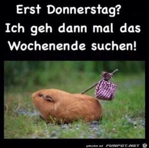 Begrüßungsbild