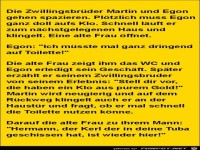 die Zwillingsbr�der........