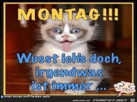Montag