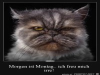 Morgen ist Montag