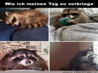wie ich meinen Tag so verbringe
