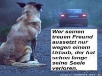 Wer seinen Hund aussetzt