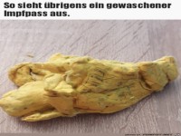 Gewaschener Impfpass