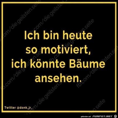 Motiviert.jpg von Keule56