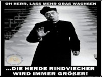 Gras wachsen