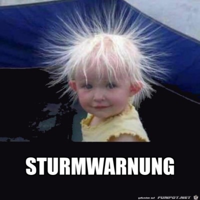 Haare.jpg von MatteMax