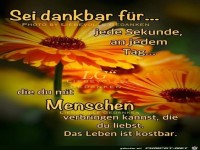 Sei Dankbar fr jede Sekunde am Tag