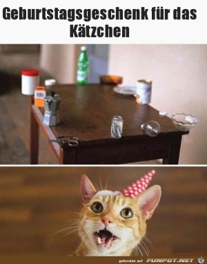 Katzen-Geschenk.jpg auf www.funpot.net