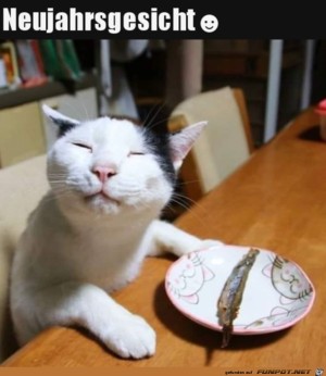 Neujahrsgesicht.jpg auf www.funpot.net