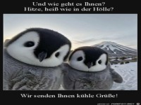 Wir senden k�hle Gr��e
