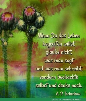Wenn-du-das-Leben-begreifen-willst.jpg auf www.funpot.net