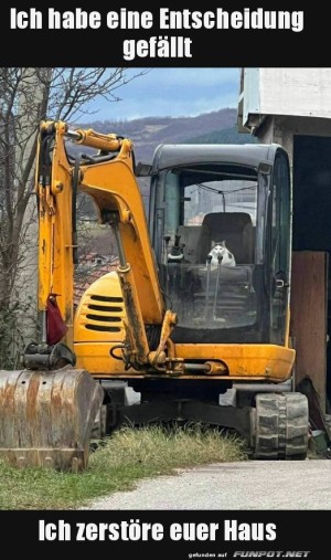 Katze-hat-entschieden.jpg auf www.funpot.net