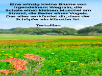 Die Kunst des Schpfers in der Natur