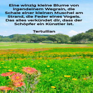 eine-winzig-kleine-blume.png von Fabioma
