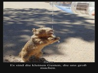 Durstiges Erdm�nnchen unterwegs!