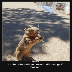 Durstiges-Erdm�nnchen-unterwegs!.jpg von Carlo2006