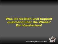Was ist niedlich und hoppelt qualmend �ber die Wiese?