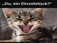 Einzelst�ck mit Krallen!