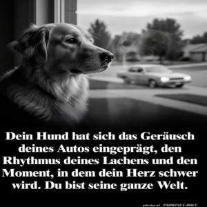 Hund-wartet,-bis-du-nach-Hause-bellst!.jpg von Leona