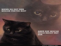 Wenn Wochenenden eine Illusion sind