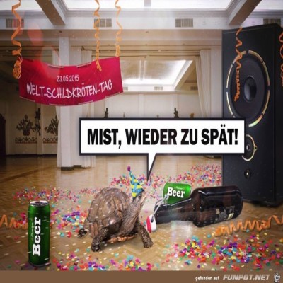 Welt-Schildkrötentag.jpg von Torsten-ohne-H