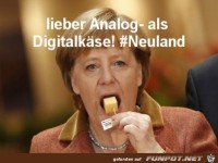 neuland merkel 19