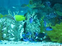 fuer Bildgenerator freigegeben 001277