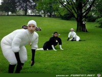 Why-are-these-people-dressed-like-sheep