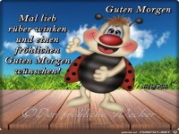 Guten Morgen 