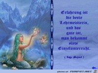 Erfahrung ist die beste Lehrmeisterin......