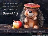 Sonntag