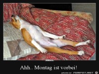 Montag ist vorbei