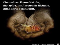 Ein wahrer Freund