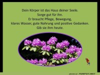 Dein Koerper ist das Haus