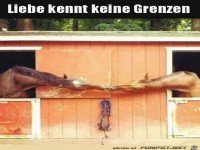 Keine Grenzen