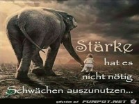 Get Staerke hat es nicht noetig schwaeche auszunutzen HD Staerke Hat Es Nicht Noetig Schwaeche Auszunutzen
