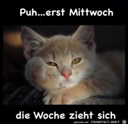 Erst-Mittwoch.jpg auf www.funpot.net